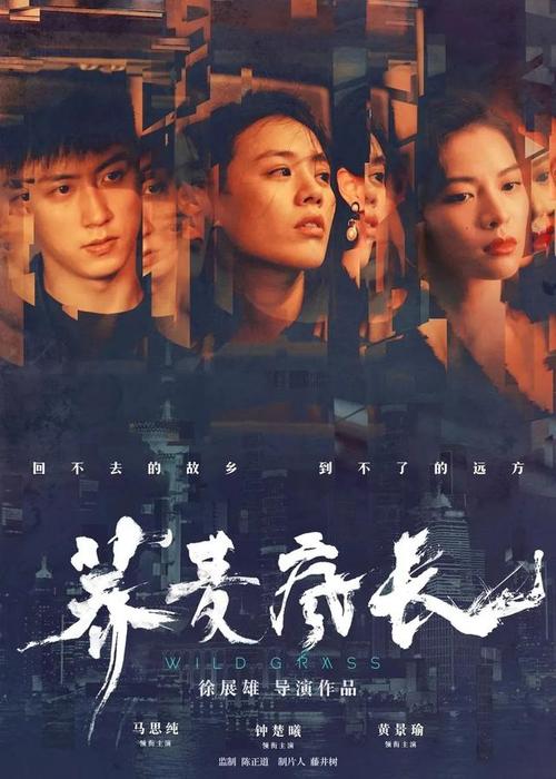 教育博士专业学位证书